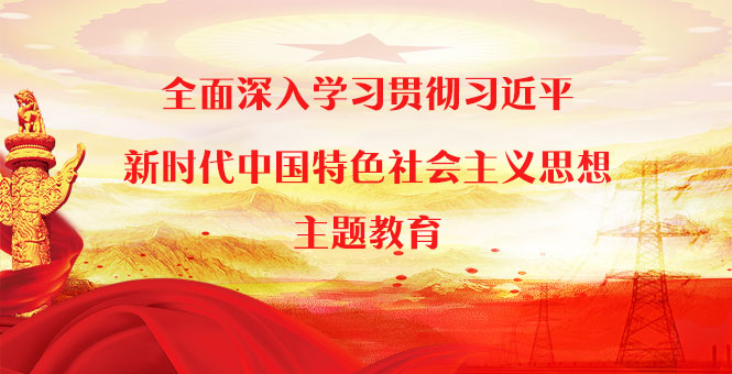 學(xué)習(xí)貫徹習(xí)近平新時代中國特色社會主義思想主題教育