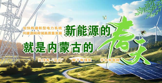 加快構(gòu)建新型電力系統(tǒng) 共建源網(wǎng)荷儲高質(zhì)量發(fā)展工作