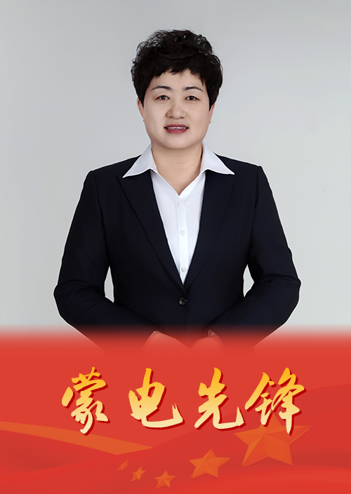 電力“石榴花”